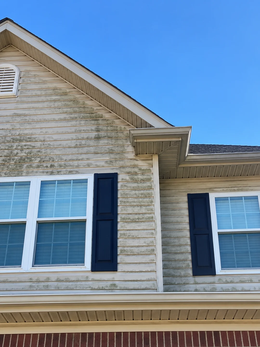 Algae-stained house siding before soft washing